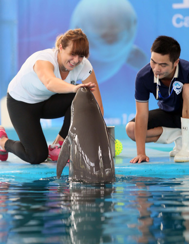 勤付出的肯 勤付出的肯