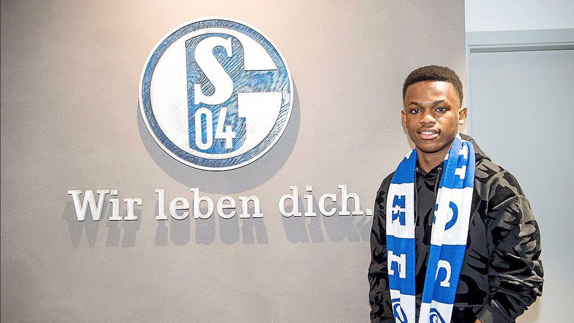 不仅依赖于 不仅依赖于