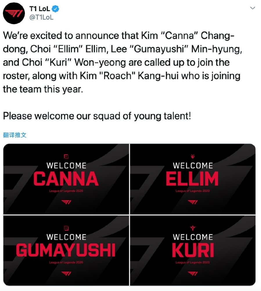 手技术动作 手技术动作